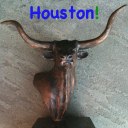 ../../_images/face_houstonbull.jpg